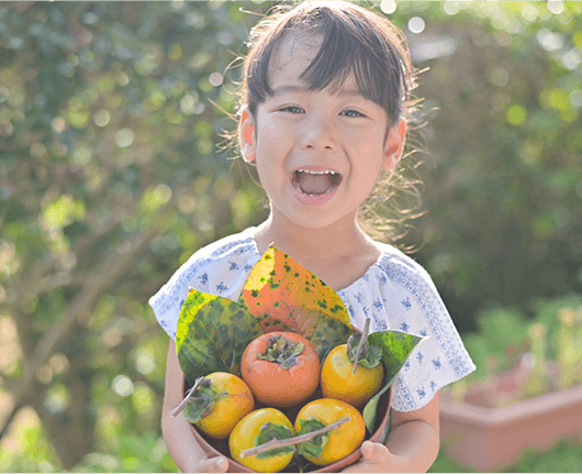栄養満点の柿をお届け